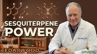 Cedarwood Essential Oil - 4 oz.