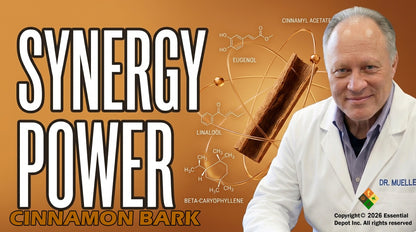 Cinnamon Bark Essential Oil - 4 oz.