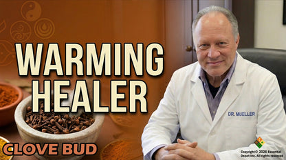 Clove Bud Essential Oil - 4 oz.