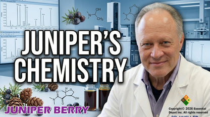 Juniper Berry Essential Oil - 4 oz.