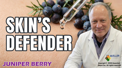 Juniper Berry Essential Oil - 4 oz.