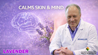 Lavender Essential Oil - 4 oz